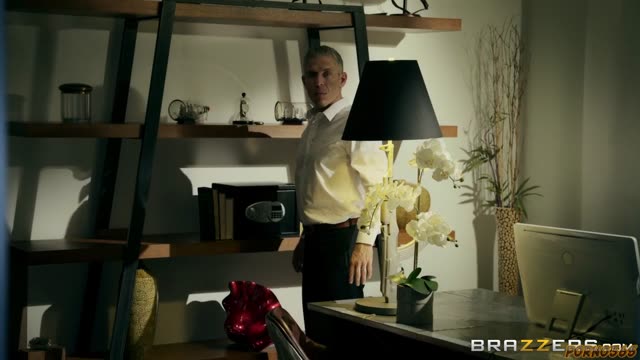 A female intelligence agent seduces a CIA officer and recruits him through an intimate relationship.