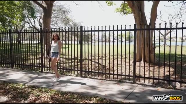 An enraged street pickup artist makes a deal with a dark-haired girl and has sex with her in a car for money.